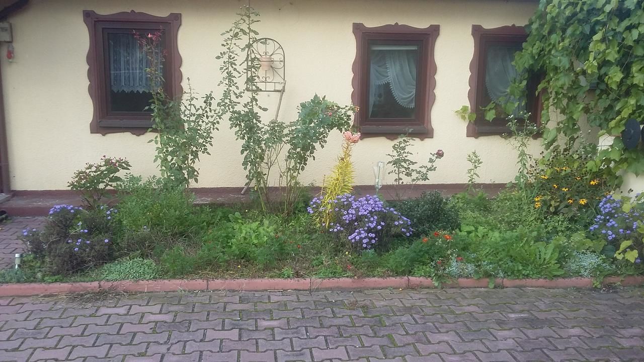 Дома для отпуска Ranczo w Zielonej Dolinie Wiślica-12